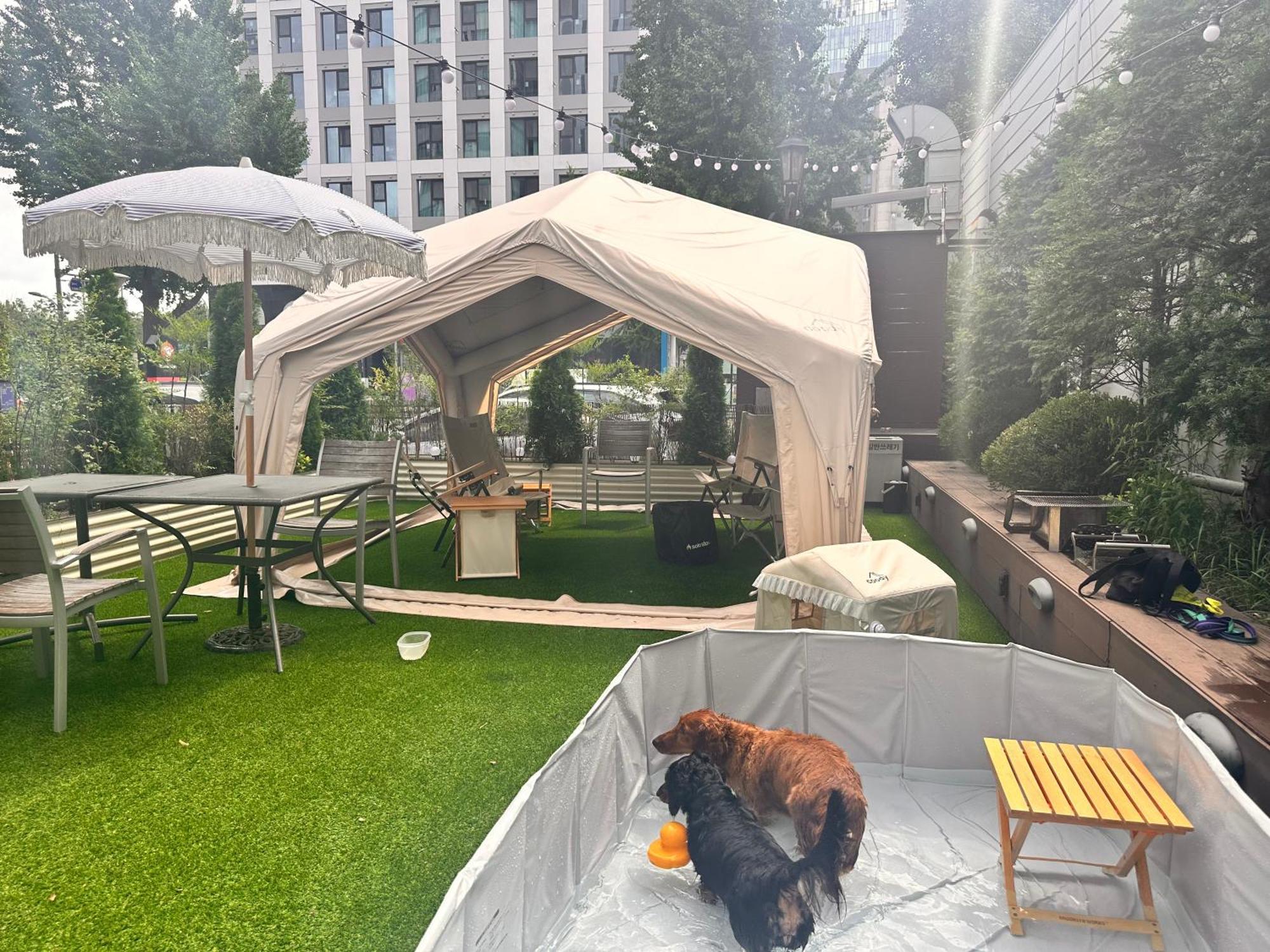 Acube Hotel Dongdaemun Seoul Exterior photo